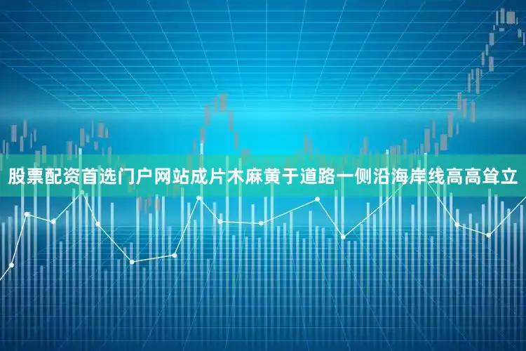 股票配资首选门户网站成片木麻黄于道路一侧沿海岸线高高耸立