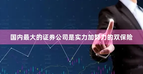 国内最大的证券公司是实力加努力的双保险