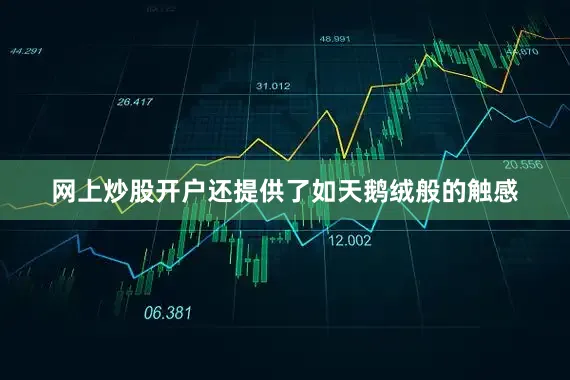 网上炒股开户还提供了如天鹅绒般的触感